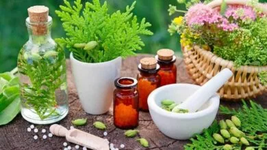 خواص جادویی بابونه برای درمان سرماخوردگی خواص جادویی بابونه برای درمان سرماخوردگی