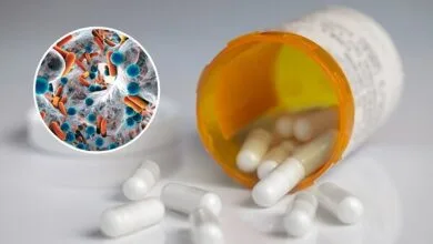ویروسهایی که شما را تنها یکبار بیمار میکنند ویروسهایی که شما را تنها یکبار بیمار میکنند