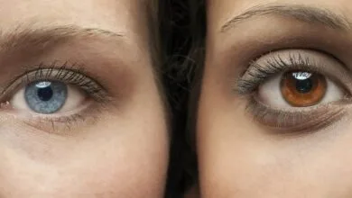 5346536.jpg
