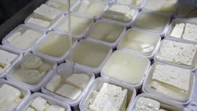 ابتلای ۱۸ هزار نفر به تب مالت؛ لبنیات سنتی نخورید ابتلای ۱۸ هزار نفر به تب مالت؛ لبنیات سنتی نخورید