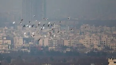 هر آنچه که باید و نباید در هنگام آلودگی هوا بخوریم!