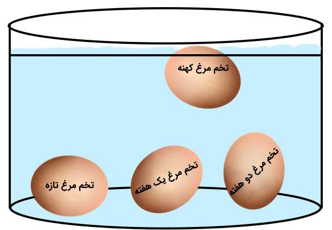 چند کاربرد جالب تخم مرغ که نمی‌دانستید | بهترین روش نگهداری تخم مرغ ؛ زمان مصرف غذاهایی که تخم مرغ دارند