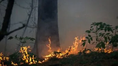 آتش‌سوزی‌ها می‌توانند نرخ حملات قلبی و مرگ و میر را افزایش دهند