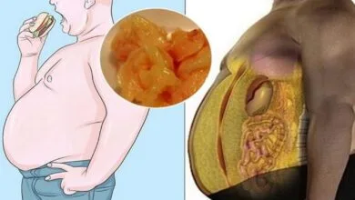 ۷ ماده غذایی برای کاهش چربی شکمی ۷ ماده غذایی برای کاهش چربی شکمی
