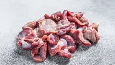 سنگدان مرغ را در کباب کوبیده بریزیم یا نه ؟ ؛ خواص و مضرات سنگدان مرغ سنگدان مرغ را در کباب کوبیده بریزیم یا نه ؟ ؛ خواص و مضرات سنگدان مرغ