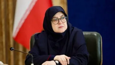 واکنش سخنگوی دولت به دعوای تامین اجتماعی و داروخانه‌ها