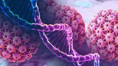 ۹۰ درصد موارد ابتلا به HPV قابل پیشگیری است ۹۰ درصد موارد ابتلا به HPV قابل پیشگیری است