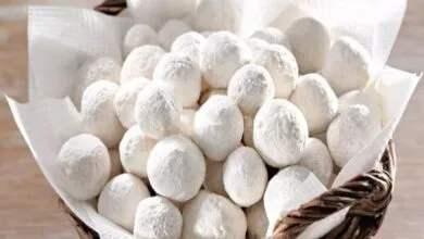 همگام سلامت