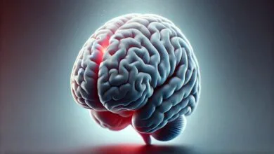 ضربه مغزی چیست و چه علائمی دارد؟ ضربه مغزی چیست و چه علائمی دارد؟