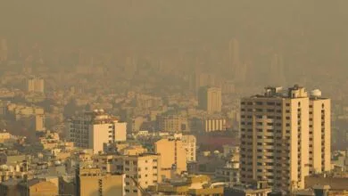 63346120.jpg