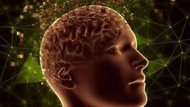 ویدیو/ آیا مغز در لحظه مرگ خاطرات را مرور می‌کند؟