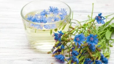 گیاهی فوقالعاده برای پاکسازی کبد گیاهی فوقالعاده برای پاکسازی کبد