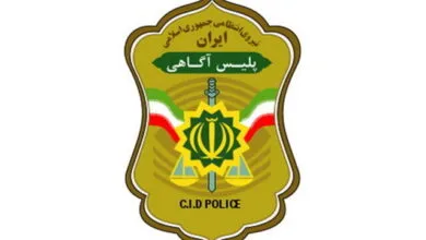 دستگیری ۲۶۶ سارق توسط گشتهای پلیس آگاهی در کشور دستگیری ۲۶۶ سارق توسط گشتهای پلیس آگاهی در کشور