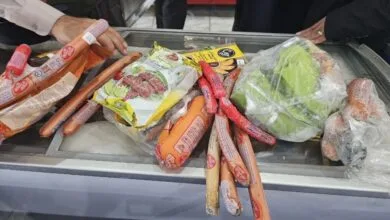 ۱۳۴ مرکز متخلف غیر بهداشتی استان تهران در یک روز پلمب شد