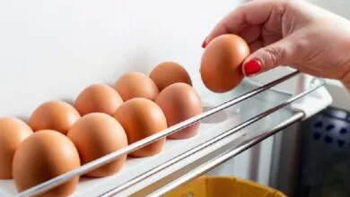 سالمونلا چگونه تخم مرغ را آلوده می کند؟/ شرایط نگهداری از این ماده غذایی
