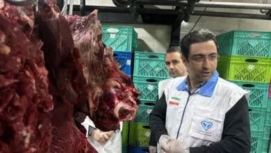 آغاز طرح تشدید نظارت بهداشتی و شرعی دامپزشکی با ۶۳ اکیپ آغاز طرح تشدید نظارت بهداشتی و شرعی دامپزشکی با ۶۳ اکیپ
