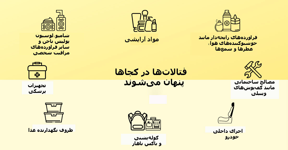 آسیب پلاستیک‌ها به مغز نوزاد
