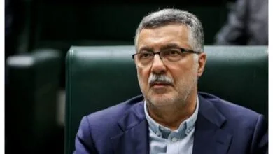 تلاش برای کنترل بیماری ها در مناطق مرزی