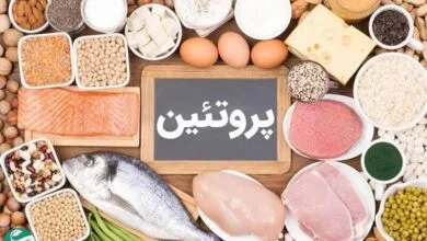 برای کاهش وزن کدام پروتئین مناسب است ؛ حیوانی یا گیاهی ؟