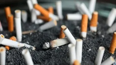 تخلف آشکار با طعم دود در بزرگترین رویداد فرهنگی کشور تخلف آشکار با طعم دود در بزرگترین رویداد فرهنگی کشور