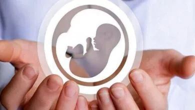 هشدار ایلان ماسک درباره کاهش نرخ فرزندآوری