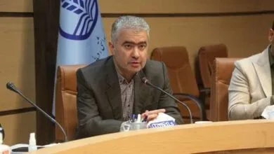 بالا رفتن سن ازدواج و فرزندآوری: دو روی یک سکه بحران جمعیتی استان گیلان