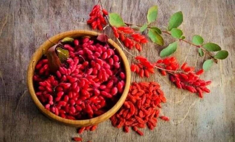 فواید شگفت‌انگیز آب زرشک برای کبد و قلب
