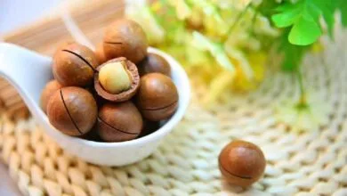 ترشی فندق؛ چاشنی خوشمزه غنی از پروتئین و فیبر ترشی فندق؛ چاشنی خوشمزه غنی از پروتئین و فیبر