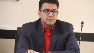 5537493.jpg