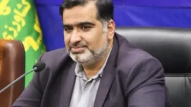 مازندران، رتبه نخست تولید و عرضه تخم مرغ و جوجه یک روزه در کشور