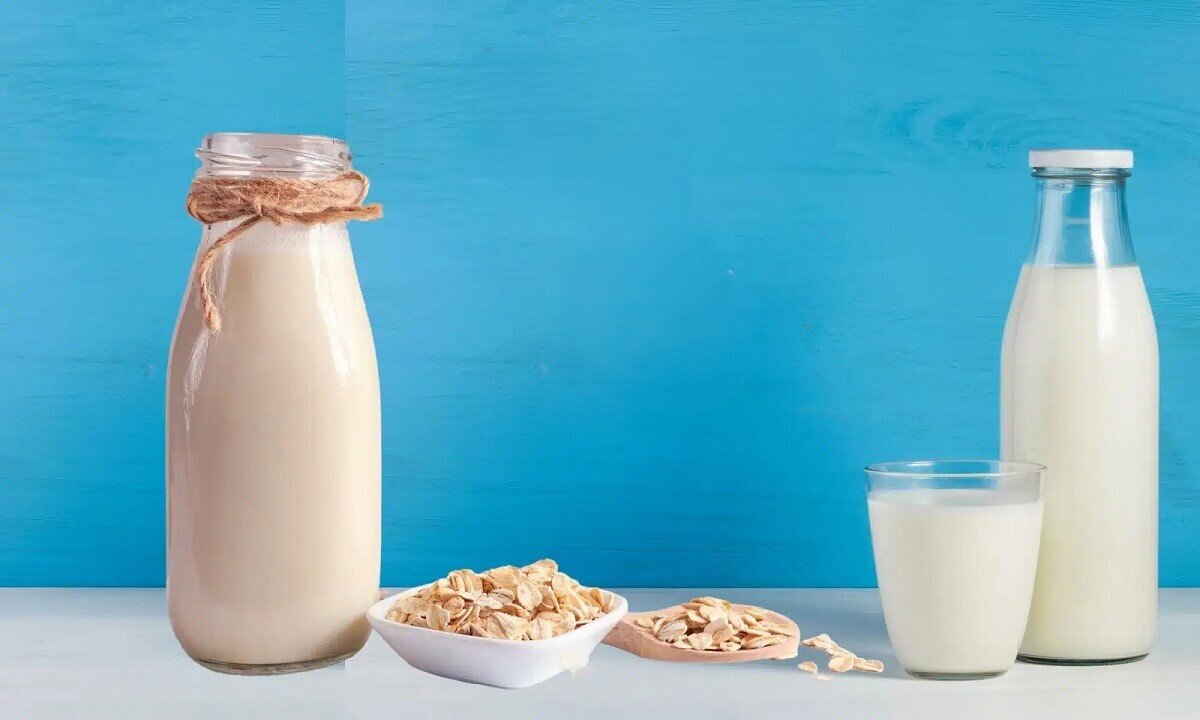 شیر جو دوسر سالم‌تر است یا شیر گاو؟