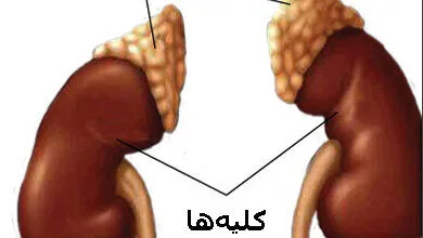 همگام سلامت