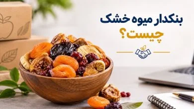 بنکدار میوه خشک چیست؟ راهنمای خرید و همکاری